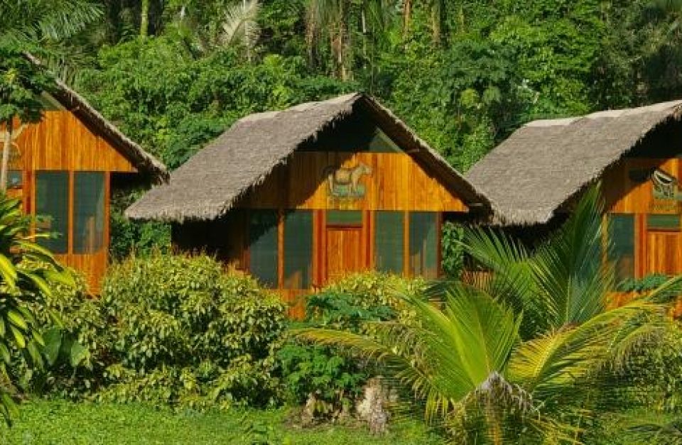 Amazonie, découverte luxe